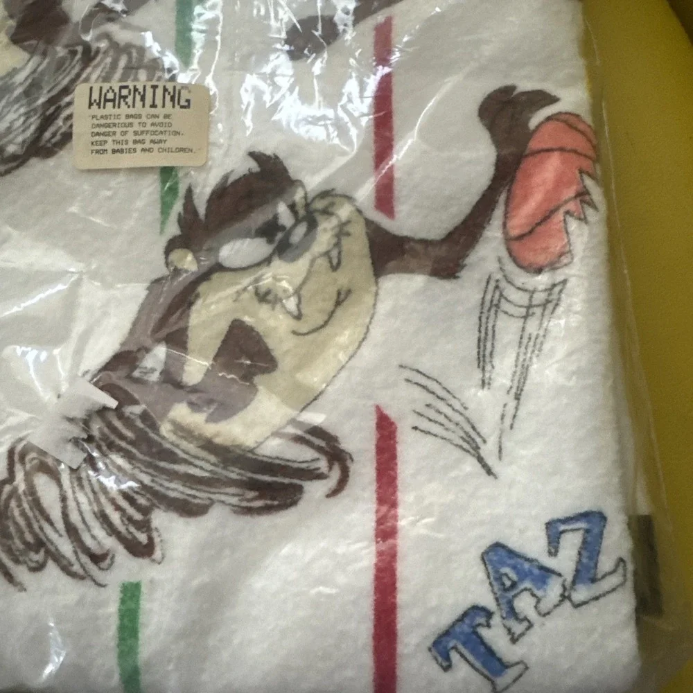 Warner Brothers Looney Tunes TAZ Sports Blanket 45